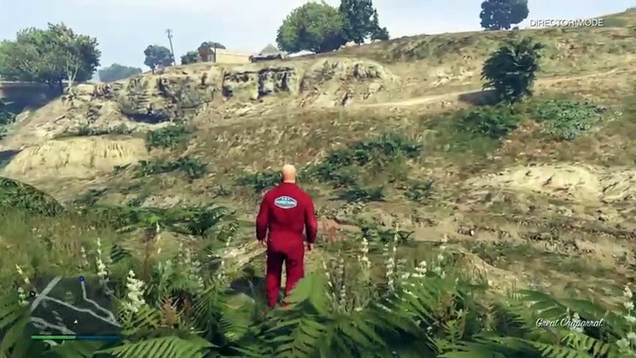 GTA director mode