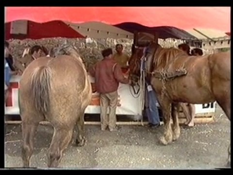 Ploumanach 87 – Fête du patrimoine maritime