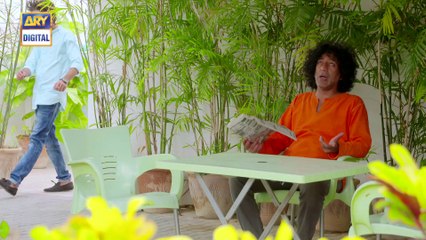 Dilli Walay Dularay Babu Ep 45 - 29th July 2017 - ARY Digital Drama