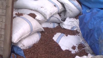 Muşlu Fırıncılar Ekmeği Fındık Kabuğuyla Pişiriyor