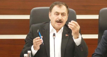 Bakan Eroğlu, "Mümkün Olsa İstanbul'u Terk Ederim" Diyen Profesör Kadıoğlu'na Çok Kızdı