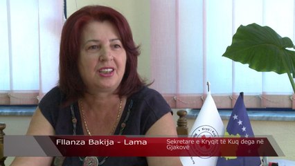 680 familje skamnore të regjistruara në listën e Kryqit të Kuq - Lajme