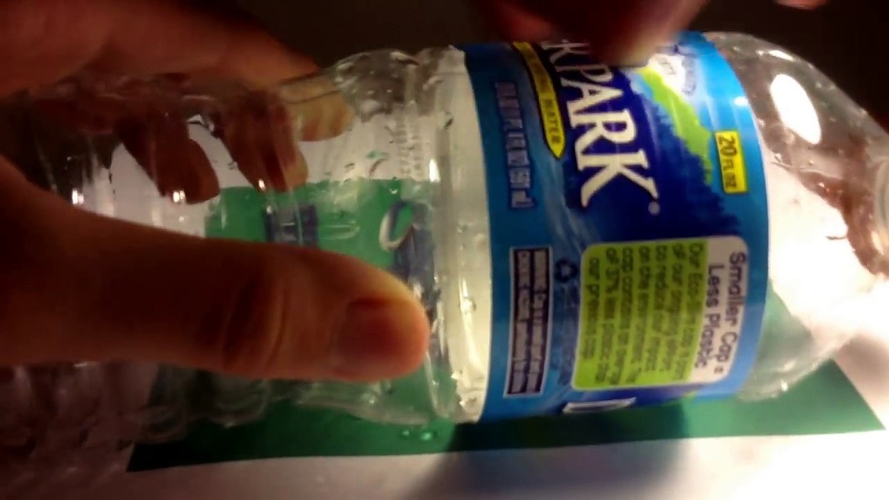 Bricolage lézard piège qui réellement fonctionne