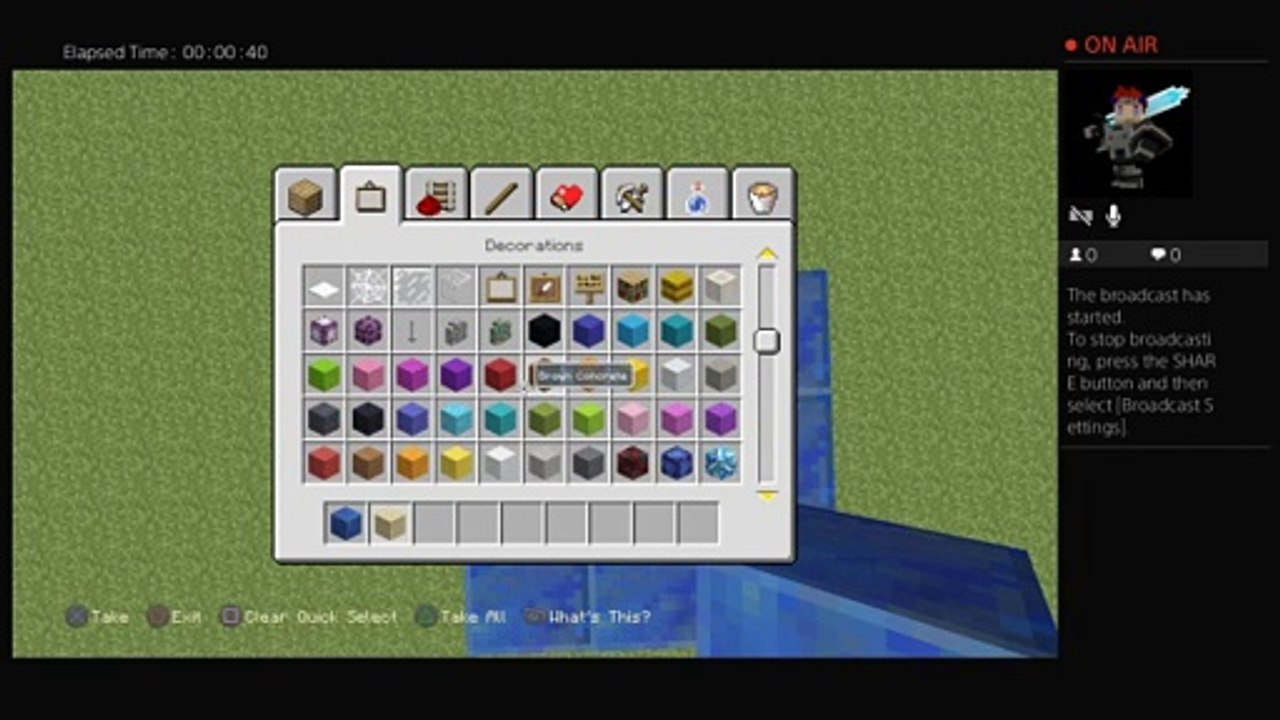 Minecraft pros (30)