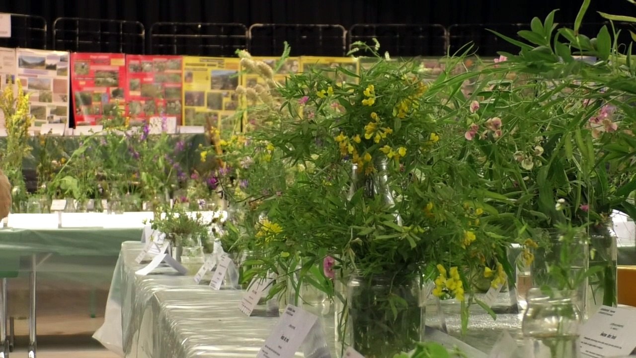 Hautes-Alpes : Plus de 700 espèces de plantes à La Salles-les-Alpes pour en apprendre sur la flore locale