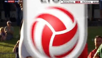 Stefan Maierhofer Goal HD - Mattersburg	1-0	AC Wolfsberger 29.07.2017