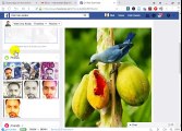 How to delete a photo from my Facebook wall which was posted