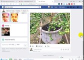 How to delete Post from my Facebook wall which was posted