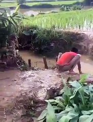 Dikkatsiz olmanın bedeli bazen çok ağır olabiliyor.