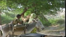 Thar After Rain looks Beautiful.Pakistan. documentary film. part 2