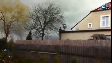 [MP4 480p] GODZILLA IN REAL LIFE !!!!