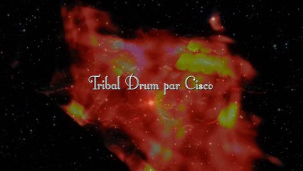 TOTEM Tribal par CISCO - FRANCIS DEWIGNE