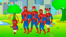 Ordenanza familia dedo vivero hombre araña superhombre veneno Vs familia vs rima