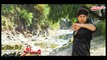 Pashto New 2017 Songs Arbaz Khan and Sobia Khan - Da Yem Da Yema Ze