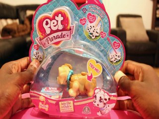 FLAIR PETS PARADE DOG GIOCHI PREZIOSI UNBOXING Toys BABY Videos