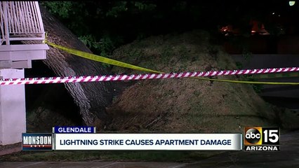 Lightning strikes causes tree to topple over on apartment complex