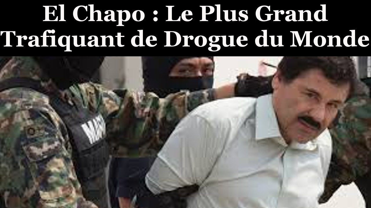 Reportage El Chapo Le Plus Grand Trafiquant De Drogue Du Monde Video Dailymotion