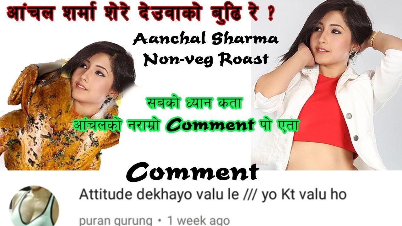 Hot And Sexy Model Aanchal Sharma Roast - आंचाल शर्मा भा... हो भन्दै दर्शक || NON VEG COMMENT ROAST
