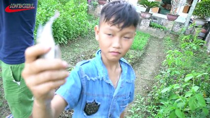 cậu bé nhỏ tuổi câu được cá khủng