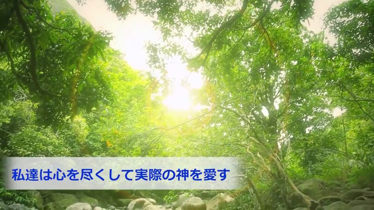 全能神教会の讃美歌「私達は心を尽くして実際の神を愛す」【MV】【アカペラ】