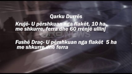Ora News - Situata nga zjarret, 8 vatra në pesë qarqe gjatë 24 orëve