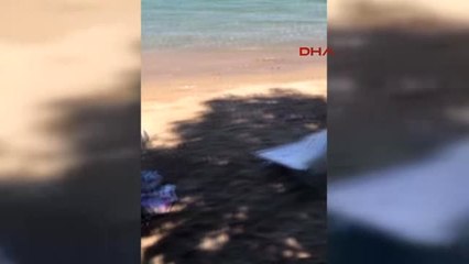 Yalova Esenköy'de Freni Patlayan Araç Plaja Daldı