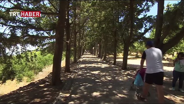 Yunan adalarına seyahat