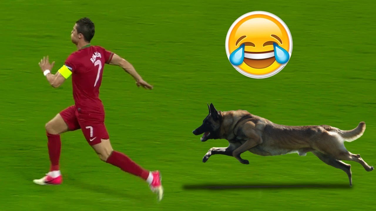 Funny Football Moments - Animals on the Football Pitch - FIFA ONLINE 3
