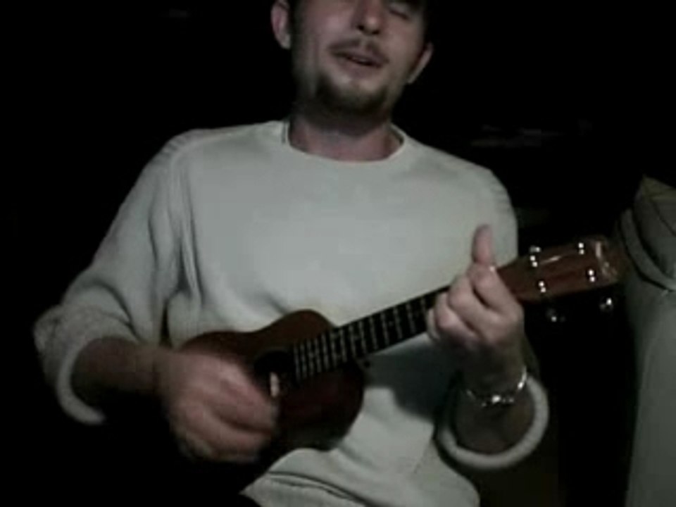 les VRP - les hurlements d'Léo au ukulele