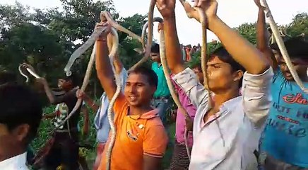 Sneak Festival ~ Indian Sneak Worshippers Showing All Kind Of Sneak