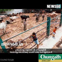 Haryana plan: No space at home, send cow to hostel