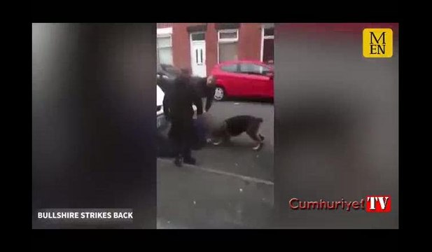 Gözaltına direnen kişi, polis köpeğini ısırdı