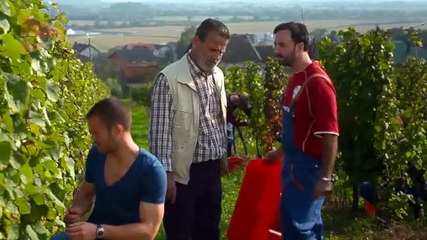 Vatre ivanjske - Epizoda 57