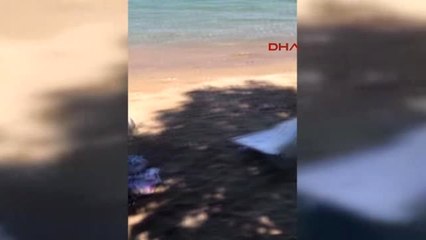 Yalova- Esenköy'de Otomobil Plaja Daldı