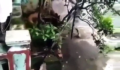 NHÂN QUẢ VAY TRẢ   VAY BAO NHIÊU TRẢ BẤY NHIÊU    XƯA NAY NHÂN QUẢ LUẬT NÀO NỂ AI