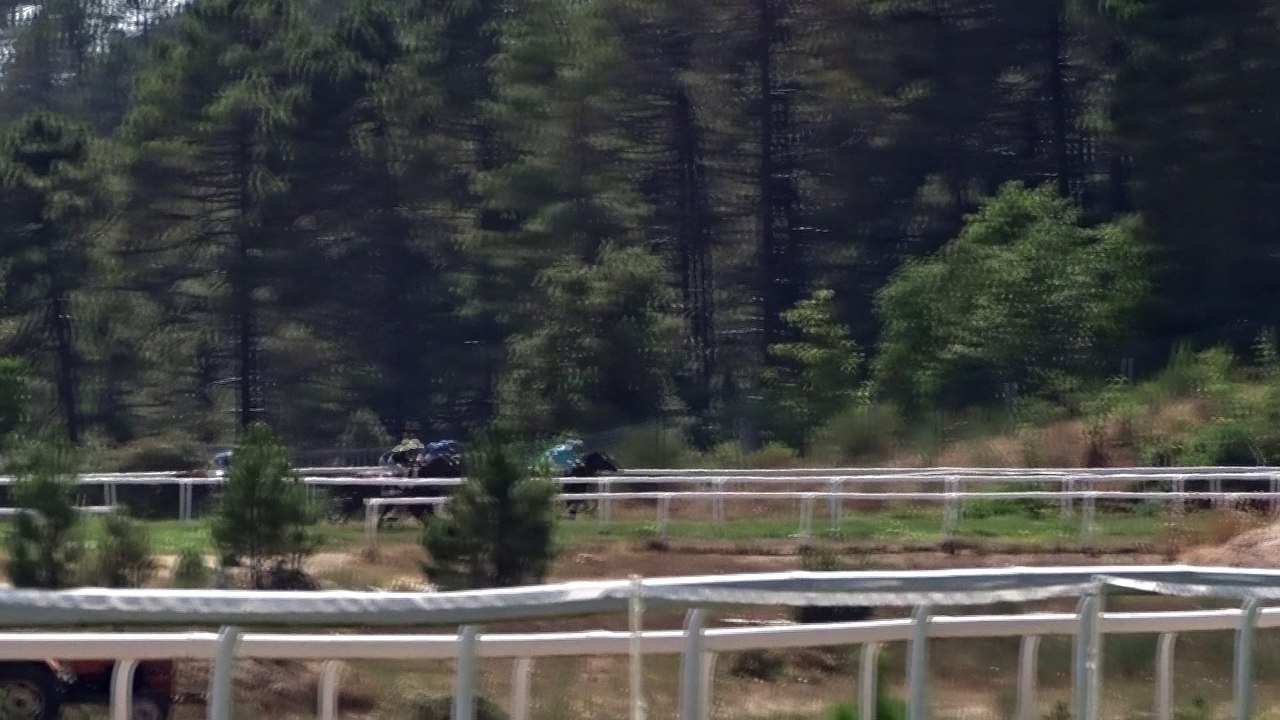 Man Fieber remporte le Grand Prix de Viseo pour Christiane Demedardi