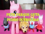 PETS PARADE GETS PEDRO IN TROUBLE DANNY PRINCESS PONY PEPPA PIG PIRATE CLOWN Toys BABY Videos,