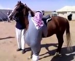 سعودي دب سمين اول مره يركب حصان ههههههههههه