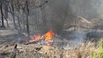 Zjarr në parkun e Korçës, dyshohet i qëllimshëm - Top Channel Albania - News - Lajme