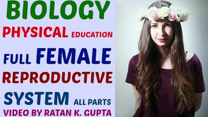 female reproductive system