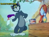 حصريا جميع حلقات كارتون - توم وجيري Tom and Jerry حلقة -12-
