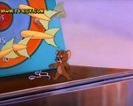 حصريا جميع حلقات كارتون - توم وجيري Tom and Jerry حلقة -13-