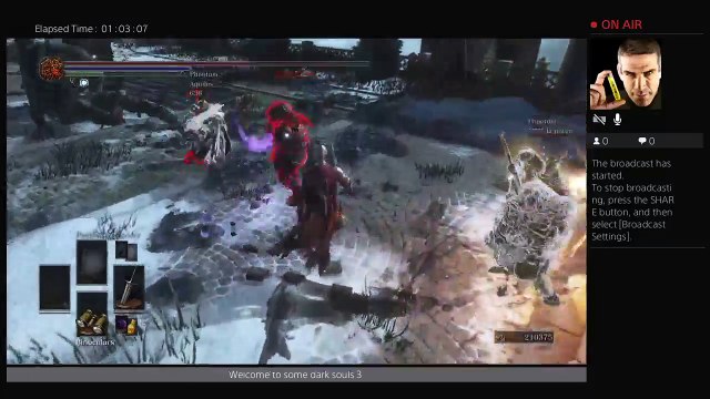 Dark souls 3 gank squad (4)