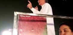 Pervez Khattak's Speech In PTI Jalsa Islamabad – 30th July 2017
