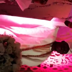 Video From Traditional Wedding In Lagos