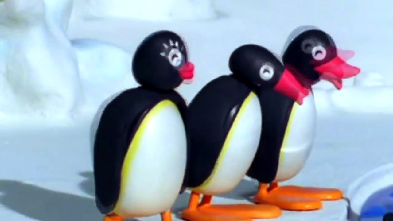 Pingu