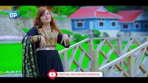 Pashto New Hd Songs 2017 - Za Mena Kawam Ta Sara - Attan Songs - By Dilruba