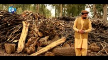 Pashto New Tappy 2017 - Sitamona - By Ikram Khan