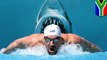Perenang VS Ikan Hiu; lomba antara Michael Phelps dan hiu membuat pemirsa kecewa - TomoNews