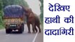 Elephant eats potatoes after stopping truck, Watch Video । वनइंडिया हिंदी